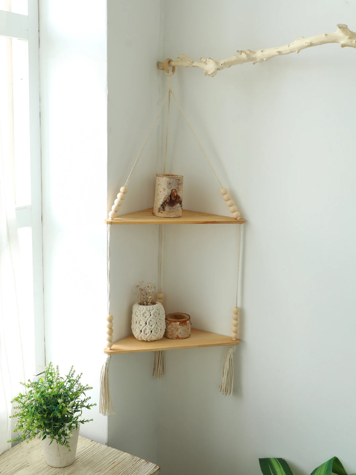 alishop:4e79c904c2f6